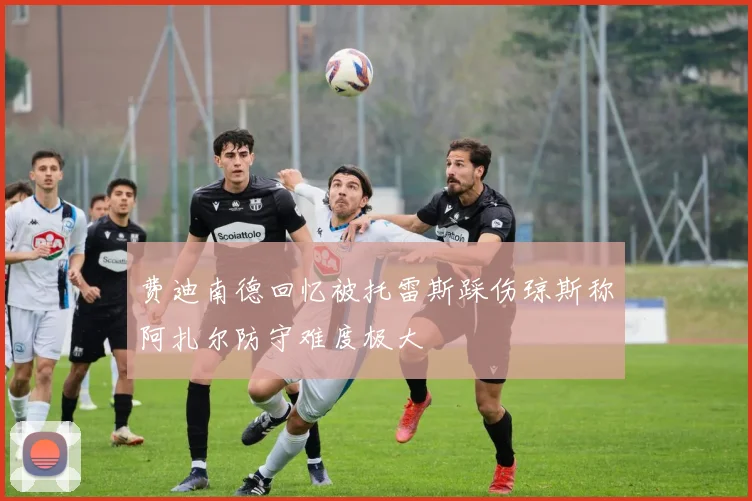 费迪南德回忆被托雷斯踩伤琼斯称阿扎尔防守难度极大