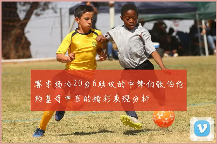 赛季场均20分6助攻的中锋们张伯伦约基奇申京的精彩表现分析