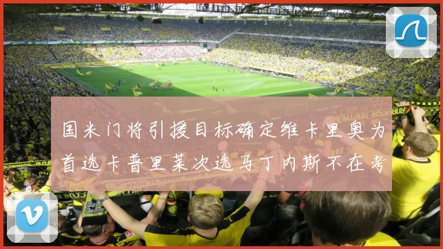国米门将引援目标确定维卡里奥为首选卡普里莱次选马丁内斯不在考虑之中